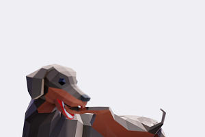 Low Poly Dachshund Dog