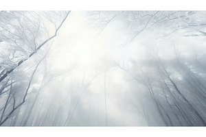 nature wood frozen misty icy ai, a Nature Photo by pikepicture