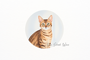 Cute Cat Portrait Round Clipart, an Animal Illustration by New-School-Wave (Thumbnail 2 of 5)