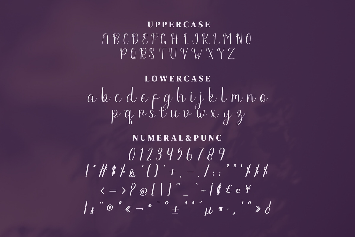 Paletta Script Fonts, a Script Font by mahstudios (Photo 12 of 15)