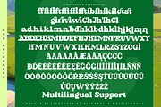 Parfect Silent Modern Bold Serif, a Serif Font by timelesstype.co (Thumbnail 19 of 20)