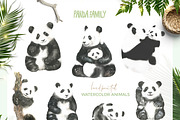 Watercolor Panda Family, an Animal Illustration by Catherine Wheel (Thumbnail 16 of 17)