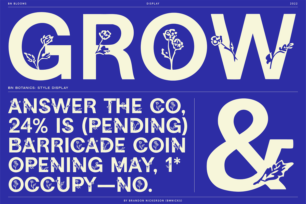 BN Blooms, a Sans Serif Font by Bnick (Photo 5 of 17)