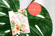 Living Coral - Duality Set, an Illustration by studioequinox (Thumbnail 8 of 16)