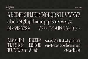 Angilina Elegant Serif Font Typeface