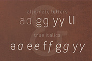 Merlo family fonts, a Sans Serif Font by Blazej Ostoja Lniski (Thumbnail 5 of 5)