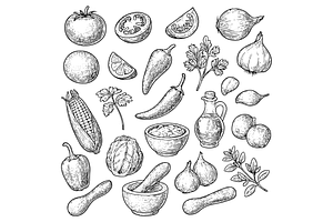 Mexican Cuisine Ingredients and Sals, an Object Graphic by RT Studio