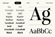 Felgiora, a Serif Font by Propertype (Thumbnail 6 of 16)