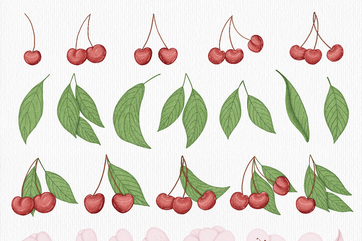 Cherry & Blossom, a Seasonal Illustration by Iryna Mel (Photo 3 of 10)