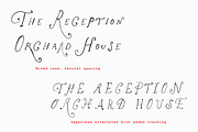The Rose Atelier// Hand drawn Font, a Handwritten Font by PeachCreme (Thumbnail 10 of 15)