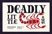 Baschone, a Serif Font by Drizy (Thumbnail 5 of 9)