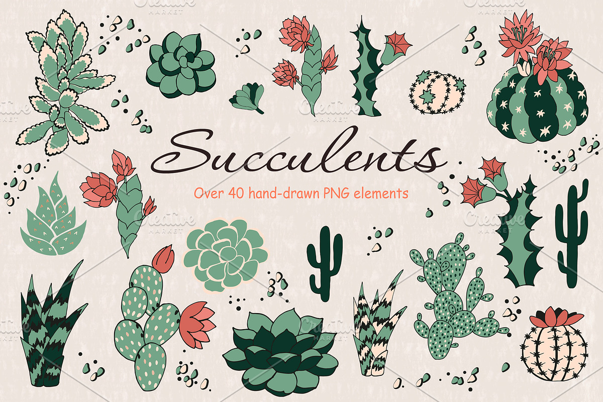 Succulents, a Pattern Graphic by Lidiebug (Photo 4 of 5)