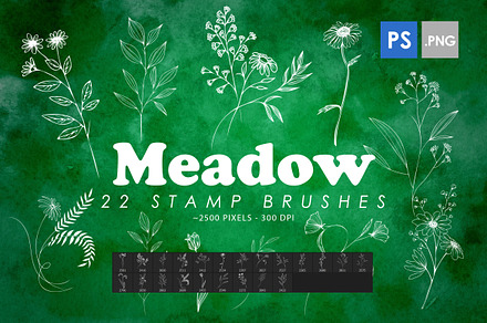 22 Meadow Photoshop Stamp Brushes
