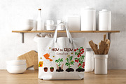 Tomatoes growing poster. Life cycle, an Education Illustration by Tani Kuzminka (Thumbnail 3 of 3)