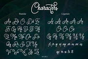 Lionettes Typeface, a Script Font by beeART (Thumbnail 6 of 6)