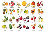 Vector food: vegetables and fruits, a Food Illustration by irina.vaneeva (Thumbnail 10 of 16)