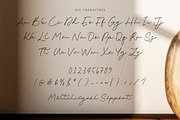 Eastin Hikary Font, a Script Font by Timurtype (Thumbnail 6 of 7)