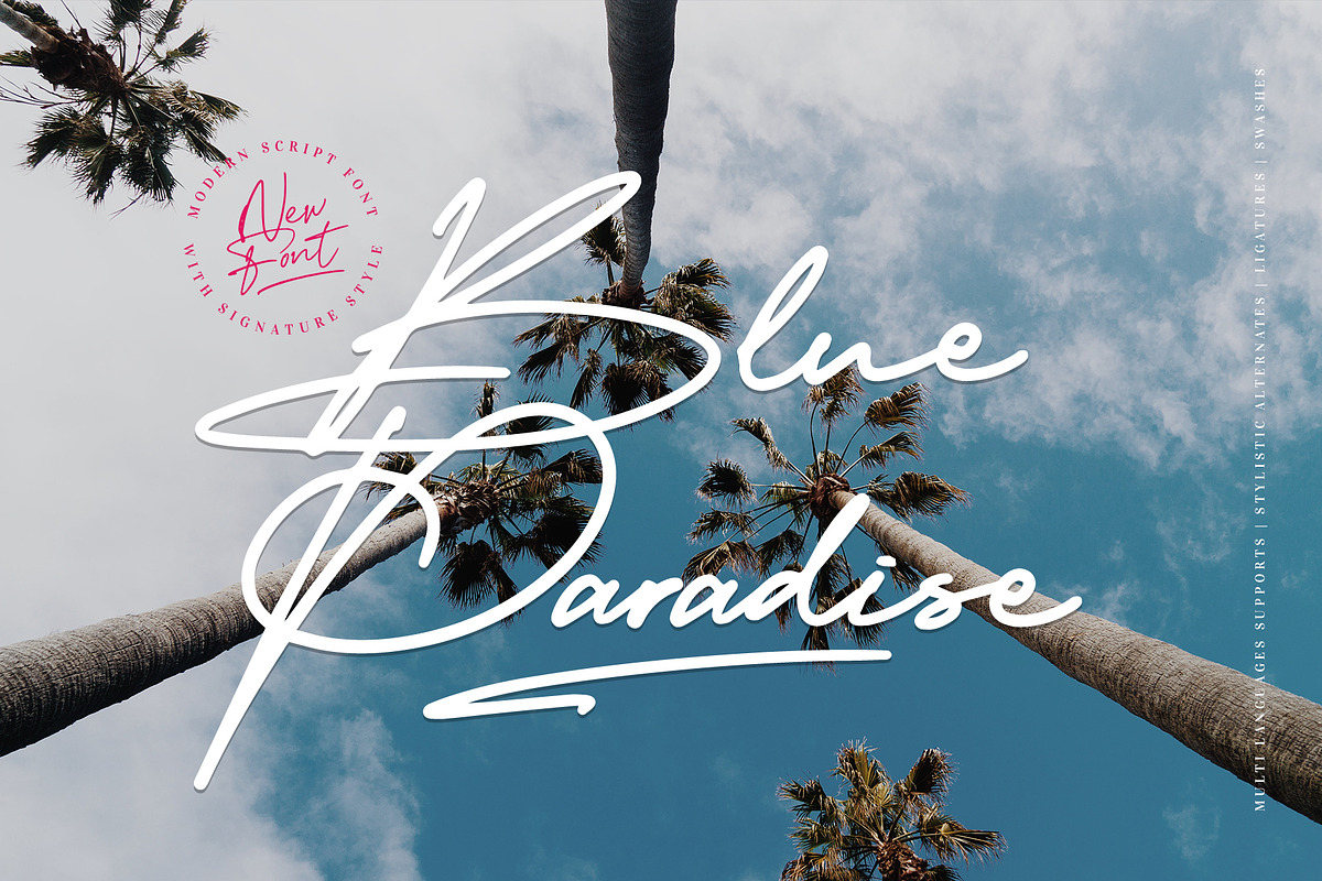 Amerika Signature, a Script Font by Scratch Design (Photo 4 of 8)