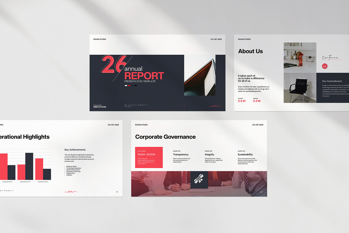 Rough Annual Report Presentation preview 7