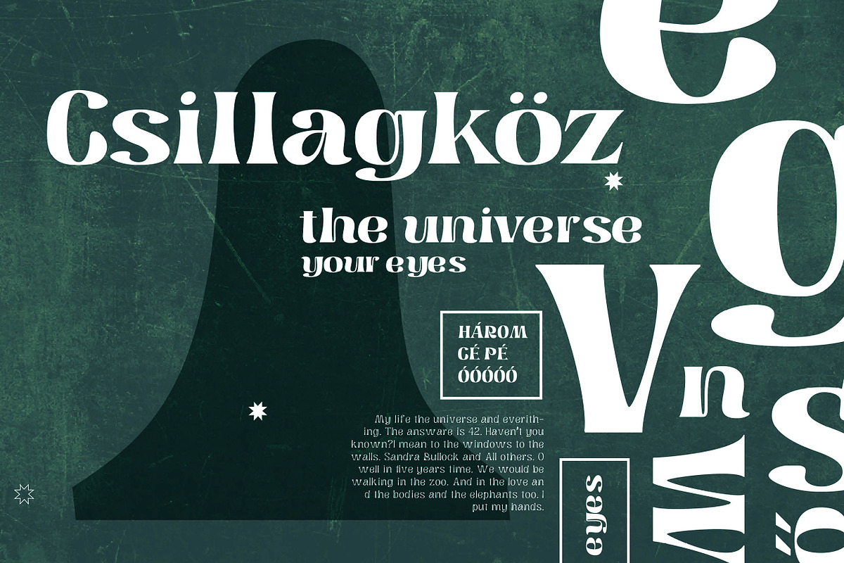 Sebaj, a Serif Font by Kisboszorka (Photo 14 of 19)