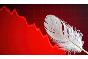 A white feather in front of a red, a Business Photo by Igor Tichonow