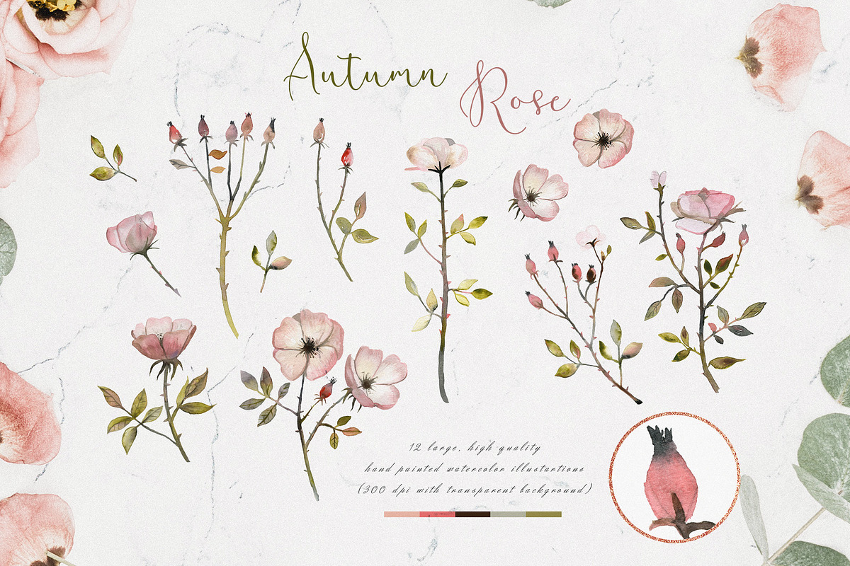 Autumn Rose Watercolor Set, a Decorative Illustration by Bibela (Photo 5 of 11)