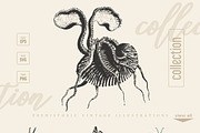 Vintage Bundle 2500+ Free Update, an Animal Illustration by Retro Machine (Thumbnail 67 of 170)