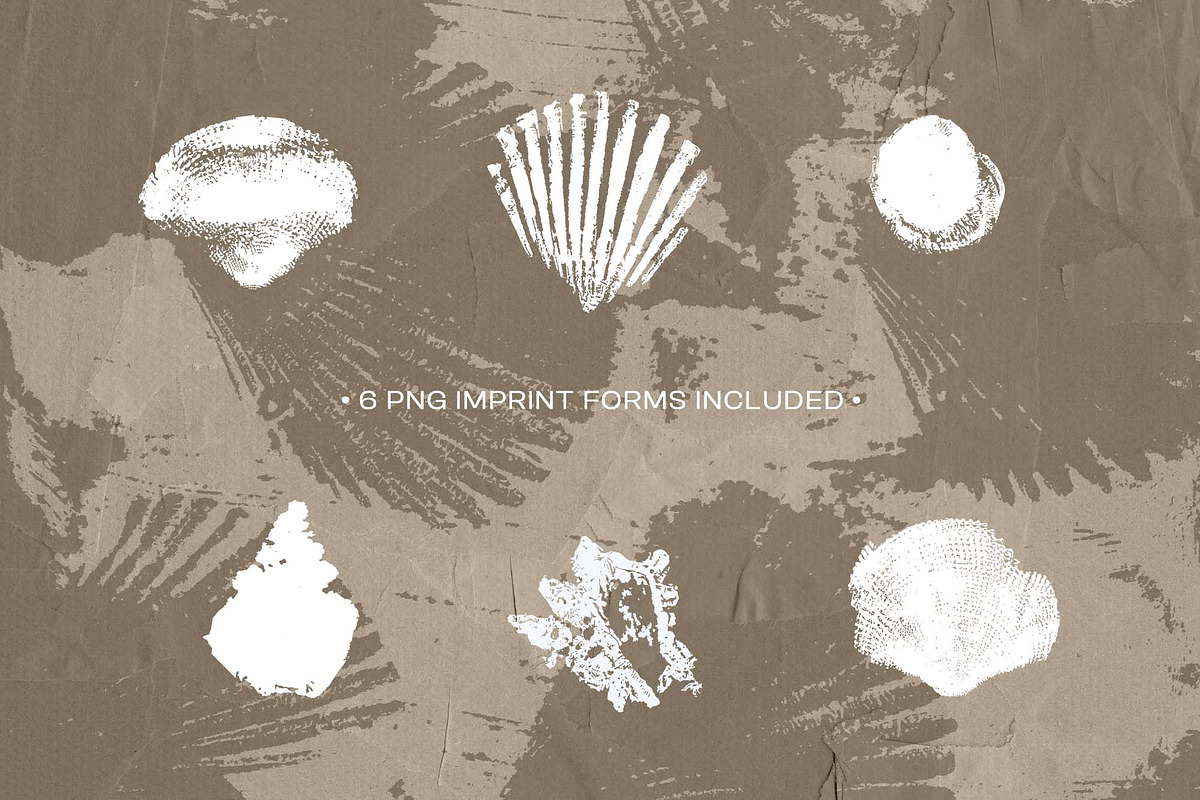 Shell Imprint textures, a Background Graphic by DigARTbyHavroshka (Photo 11 of 12)