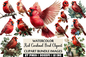 Watercolor Red Cardinal Bird Clipart, an Illustration by Craft Nest