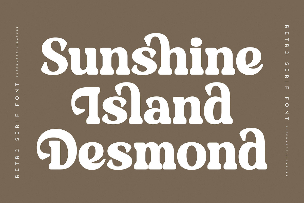 Daylist Beach Retro Serif Font, a Serif Font by Letterena Studios (Photo 9 of 15)