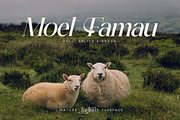 Fanlste Ligature Typeface Font, a Serif Font by Storytype Studio (Thumbnail 3 of 13)
