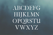 Jerin Serif Font Famiy, a Serif Font by Creativetacos (Thumbnail 2 of 5)