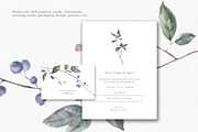 Blueberry watercolor collection, a Decorative Illustration by Tilling (Thumbnail 4 of 7)