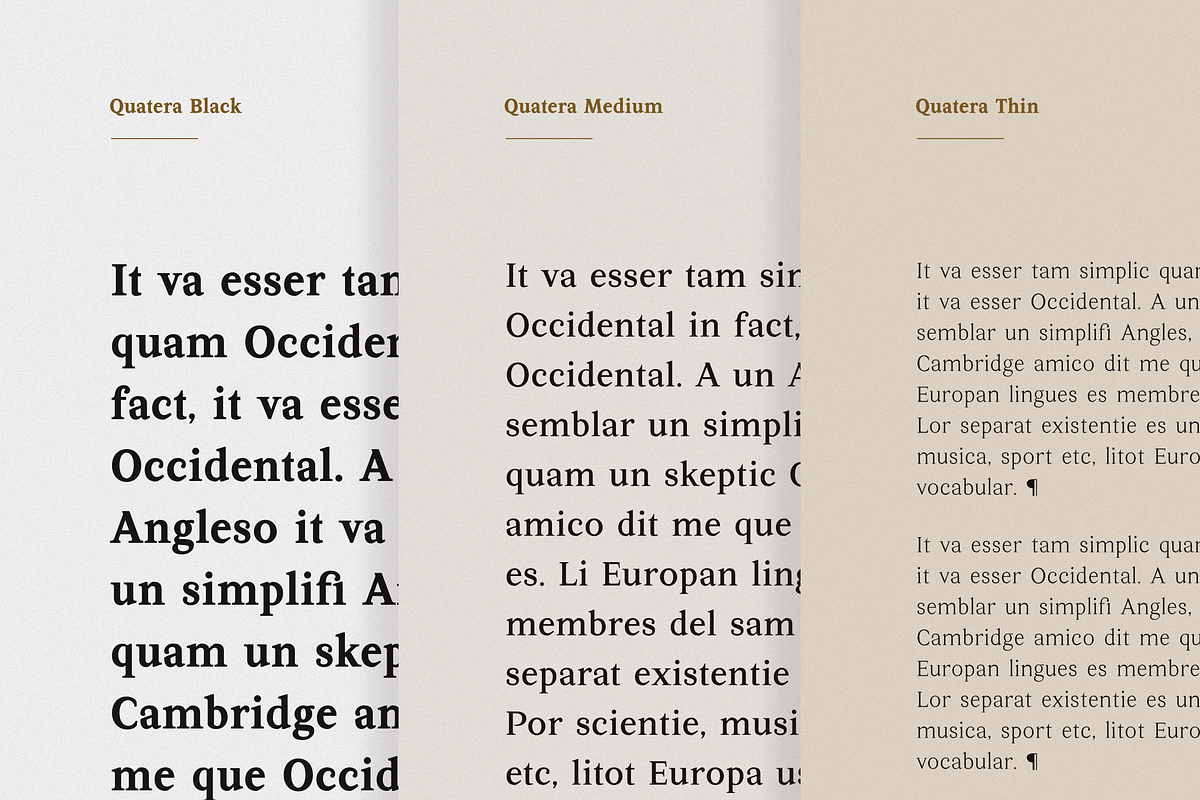 Quatera Serif Family (9 Weights), a Serif Font by Typia Nesia (Photo 2 of 13)
