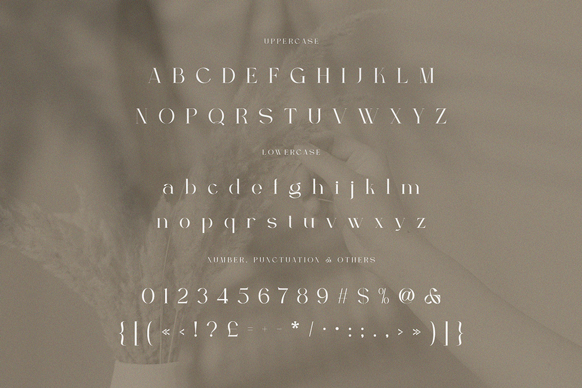 Berfilem - Editorial Display Serif, a Serif Font by Cruzine (Photo 4 of 8)