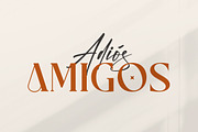 The Mondela Catalisa Font Duo, a Serif Font by Storytype Studio (Thumbnail 15 of 15)