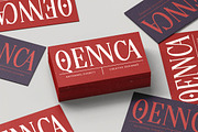 Senovac Bold Tall Serif Display, a Serif Font by timelesstype.co (Thumbnail 5 of 20)