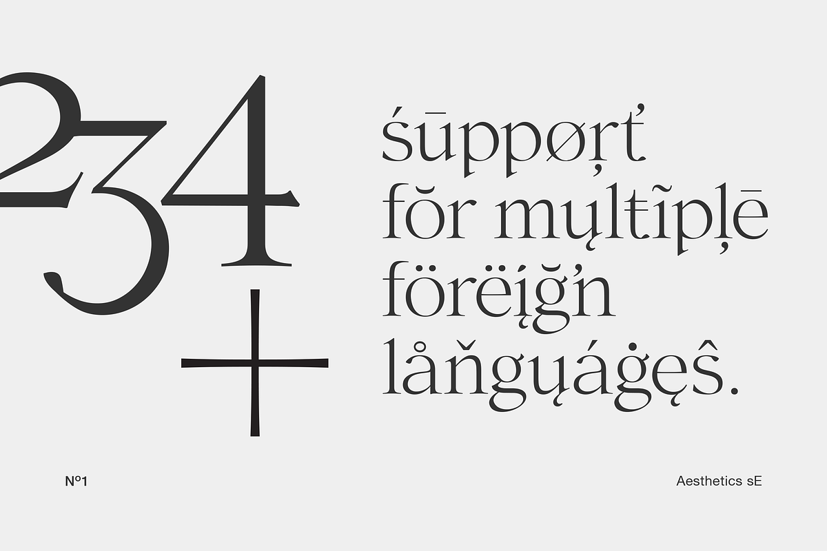 Aesthetic sE, a Serif Font by silukEight (Photo 5 of 10)