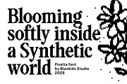 Pixelta – Serif Pixel Font, a Serif Font by Blankids Studio (Thumbnail 6 of 14)