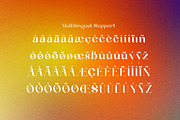 Suika a Modern / Vintage Font, a Serif Font by Lettertype Studio (Thumbnail 14 of 15)