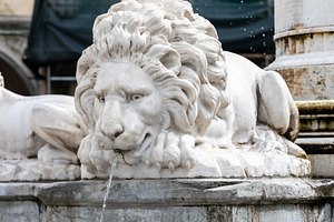 Marble lion statue pouring water in Empoli fountain, Tuscany, Italy, a Photo by Antonio Gravante Market