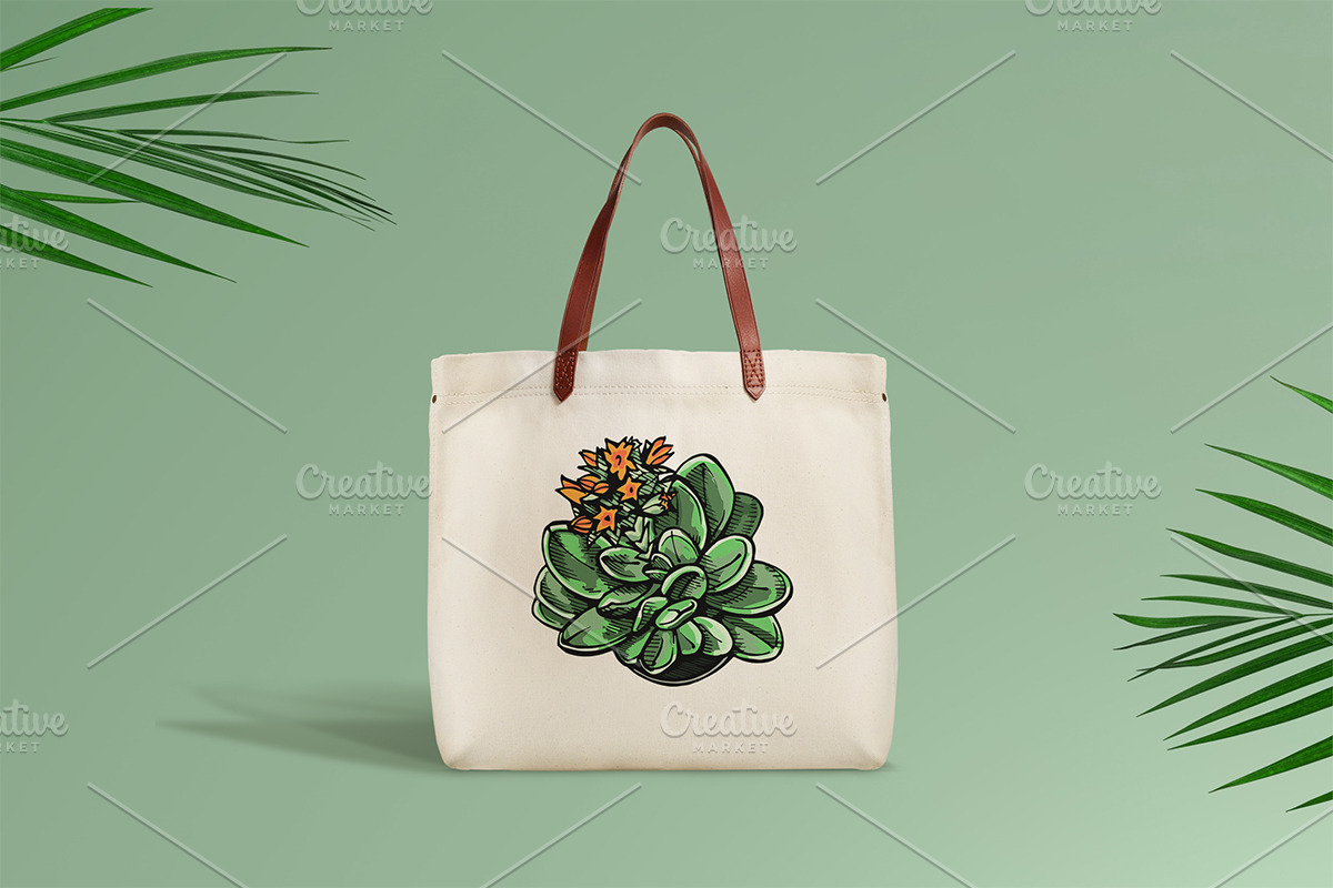Vector succulents collection, an Illustration by AV Design (Photo 3 of 7)
