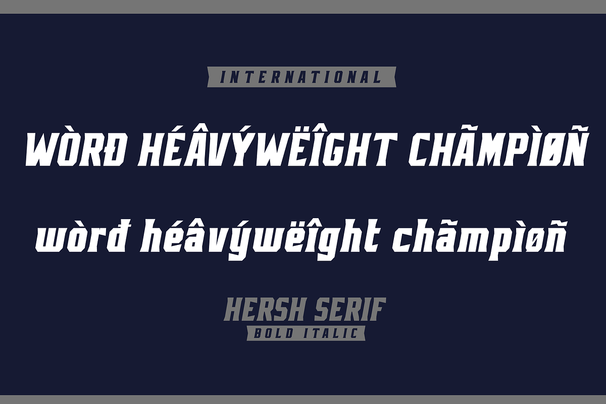 HERSH SERIF FONT FAMILY, a Serif Font by Alphabet Agency (Photo 11 of 14)