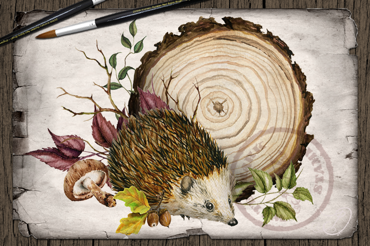 Hedgehog Watercolor Illustration, a Decorative Illustration by DioFlow (Photo 3 of 6)