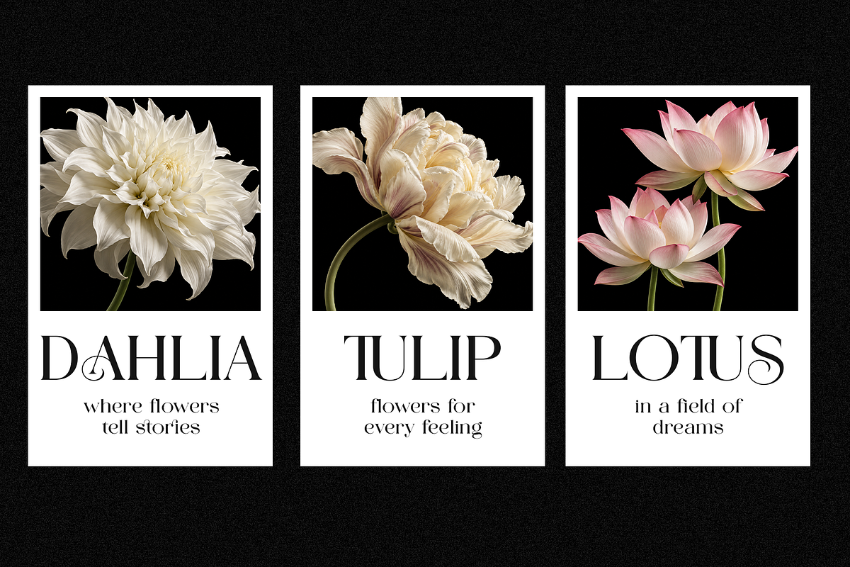 AUREVAN — Bold Luxury Serif, a Serif Font by ToniStudio (Photo 8 of 13)