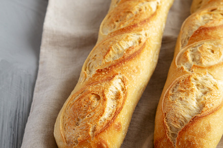 Homemade French Bread Baguette on a gray background, side view., a Food & Drink Photo by LiudmylaChuhunova