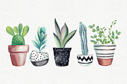Cactus clipart with pots, a Decorative Illustration by Colibri Watercolor (Thumbnail 2 of 5)