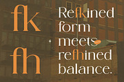 Sovelis - A New Modern Serif font, a Serif Font by GridlineType (Thumbnail 4 of 10)