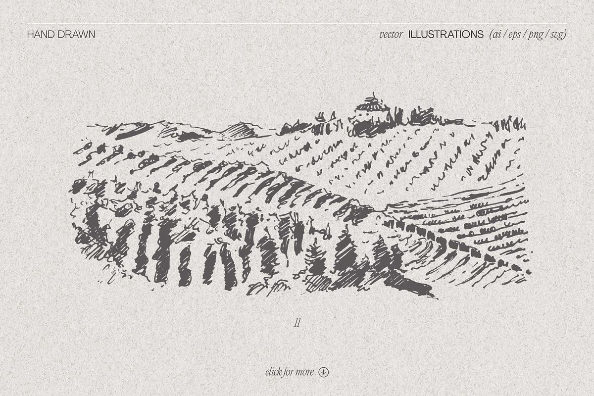 Vineyard drawings, a Decorative Illustration by TheMountBirdStudio (Photo 7 of 8)
