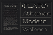 Giant - Ligature Serif Font, a Serif Font by Luna Shop (Thumbnail 5 of 10)